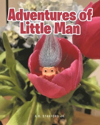 bokomslag Adventures of Little Man