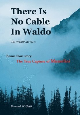 bokomslag There Is No Cable In Waldo