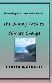 bokomslag Bumpy Path to Climate Change
