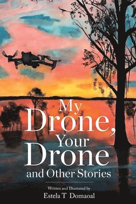 My Drone, Your Drone and Other Stories 1