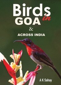 bokomslag Birds in Goa & Across India