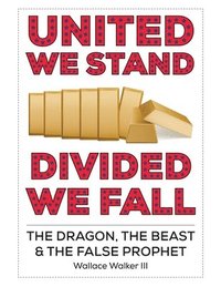 bokomslag United We Stand Divided We Fall