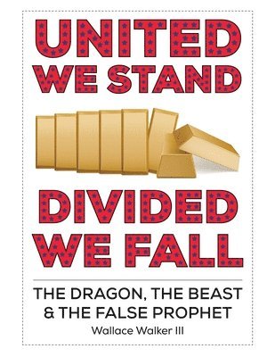 bokomslag United We Stand Divided We Fall