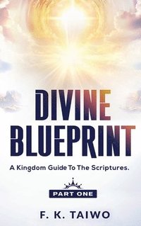 bokomslag Divine Blueprint