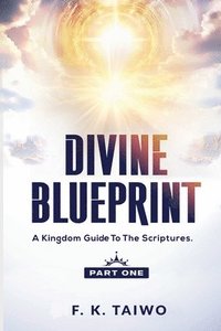 bokomslag Divine Blueprint