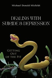 bokomslag Dealing with Suicide & Depression: Getting Out of the Pit