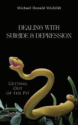 Michael Donald Misfeldt - Dealing with Suicide & Depression, Inbunden