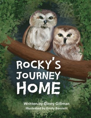 Rocky's Journey Home 1