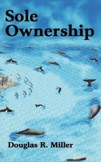 bokomslag Sole Ownership