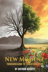 bokomslag New Moment