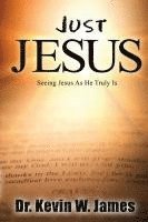 bokomslag Just Jesus