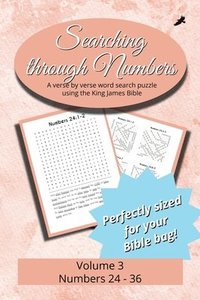 bokomslag Searching Through Numbers