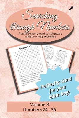 bokomslag Searching Through Numbers