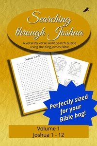 bokomslag Searching Through Joshua