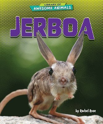 bokomslag Jerboa
