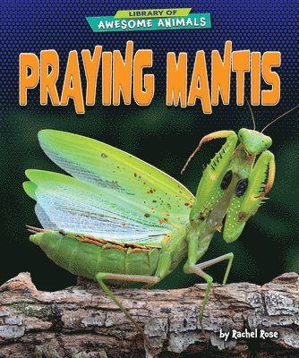 bokomslag Rose, R: Praying Mantis