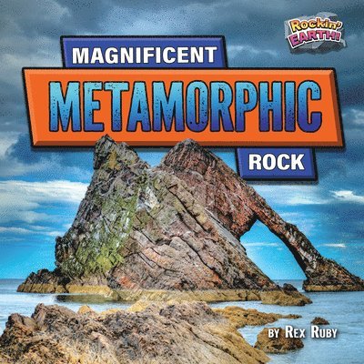 Rex Ruby - Magnificent Metamorphic Rock, Inbunden
