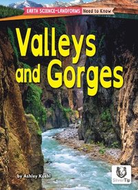 bokomslag Valleys and Gorges