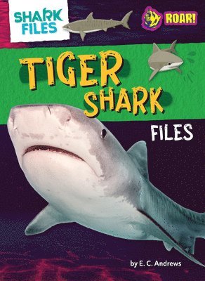 E. C. Andrews - Tiger Shark Files, Inbunden