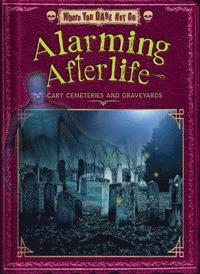 bokomslag Alarming Afterlife