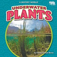 bokomslag Underwater Plants
