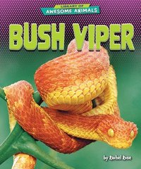bokomslag Bush Viper