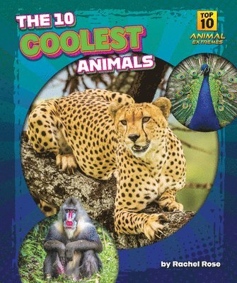 The 10 Coolest Animals 1