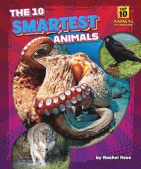 bokomslag The 10 Smartest Animals