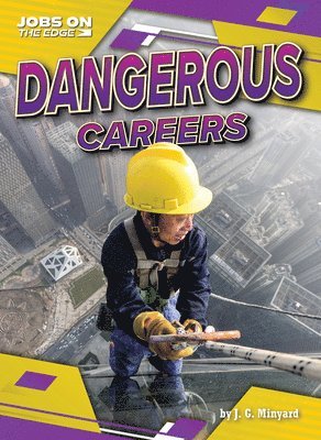 bokomslag Dangerous Careers