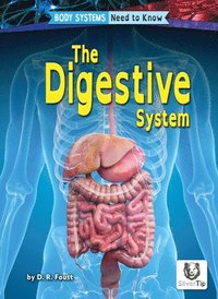 bokomslag The Digestive System