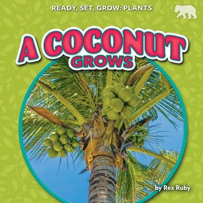 Rex Ruby - A Coconut Grows, Inbunden