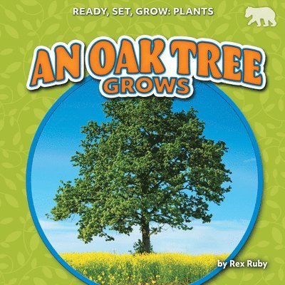 An Oak Tree Grows 1