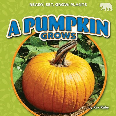 A Pumpkin Grows 1