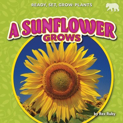 Rex Ruby - A Sunflower Grows, Inbunden