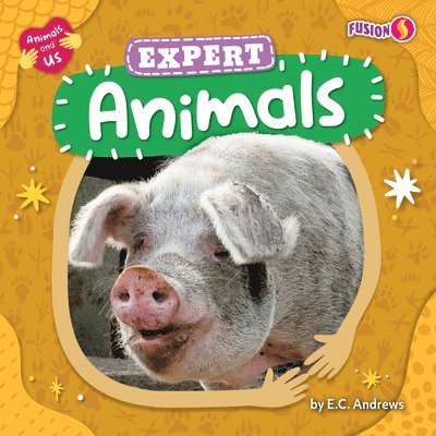 Expert Animals 1