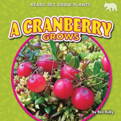 A Cranberry Grows 1