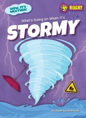 What's Going on When It's Stormy 1