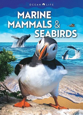 bokomslag Marine Mammals & Seabirds