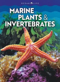 bokomslag Marine Plants & Invertebrates