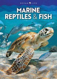 bokomslag Marine Reptiles & Fish