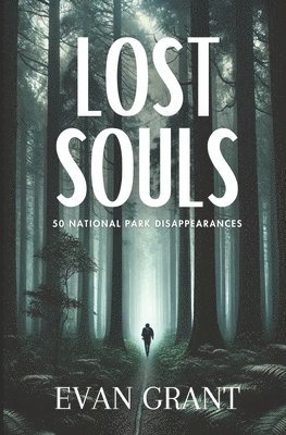 bokomslag Lost Souls