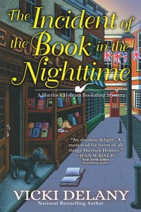 bokomslag Incident of the Book in the Nighttime