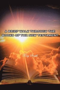 bokomslag Brief Walk through the Books of the New Testament