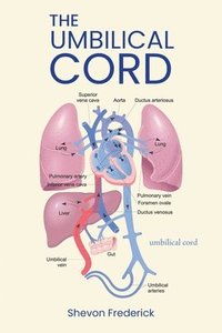 bokomslag Umbilical Cord