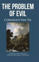 bokomslag THE PROBLEM OF EVIL