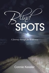 bokomslag Blind SPOTS