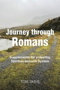 bokomslag Journey through Romans