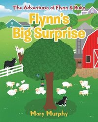 bokomslag Flynn's Big Surprise