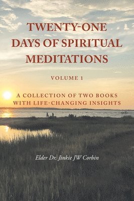 bokomslag Twenty-One Days of Spiritual Meditations