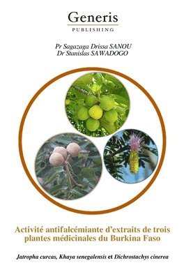 bokomslag Activité antifalcémiante d'extraits de trois plantes médicinales du Burkina Faso